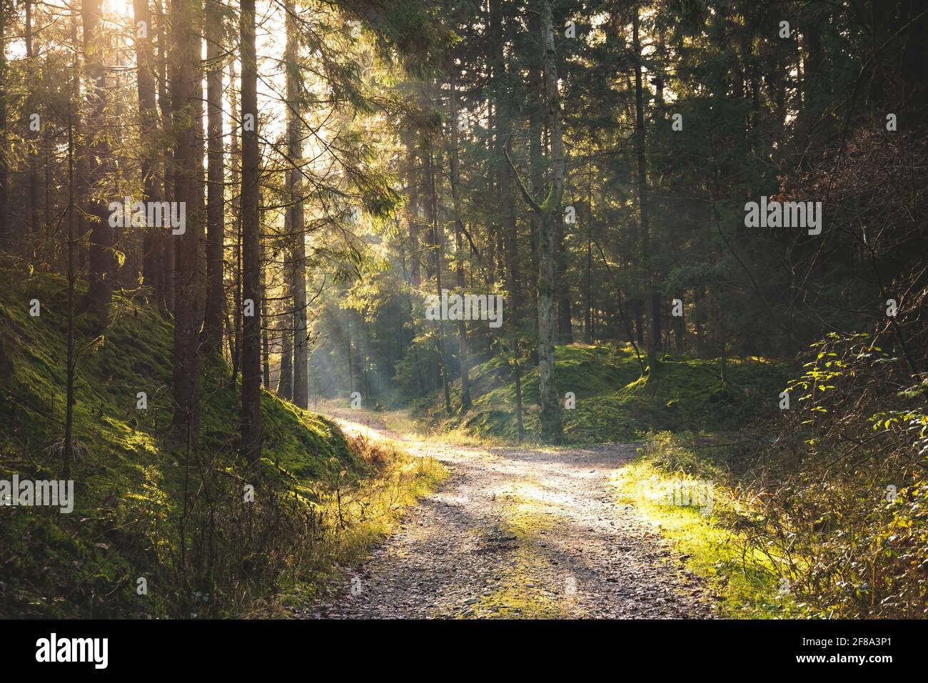 Sunnysunrays - Sexy Media Girls on leaks.im