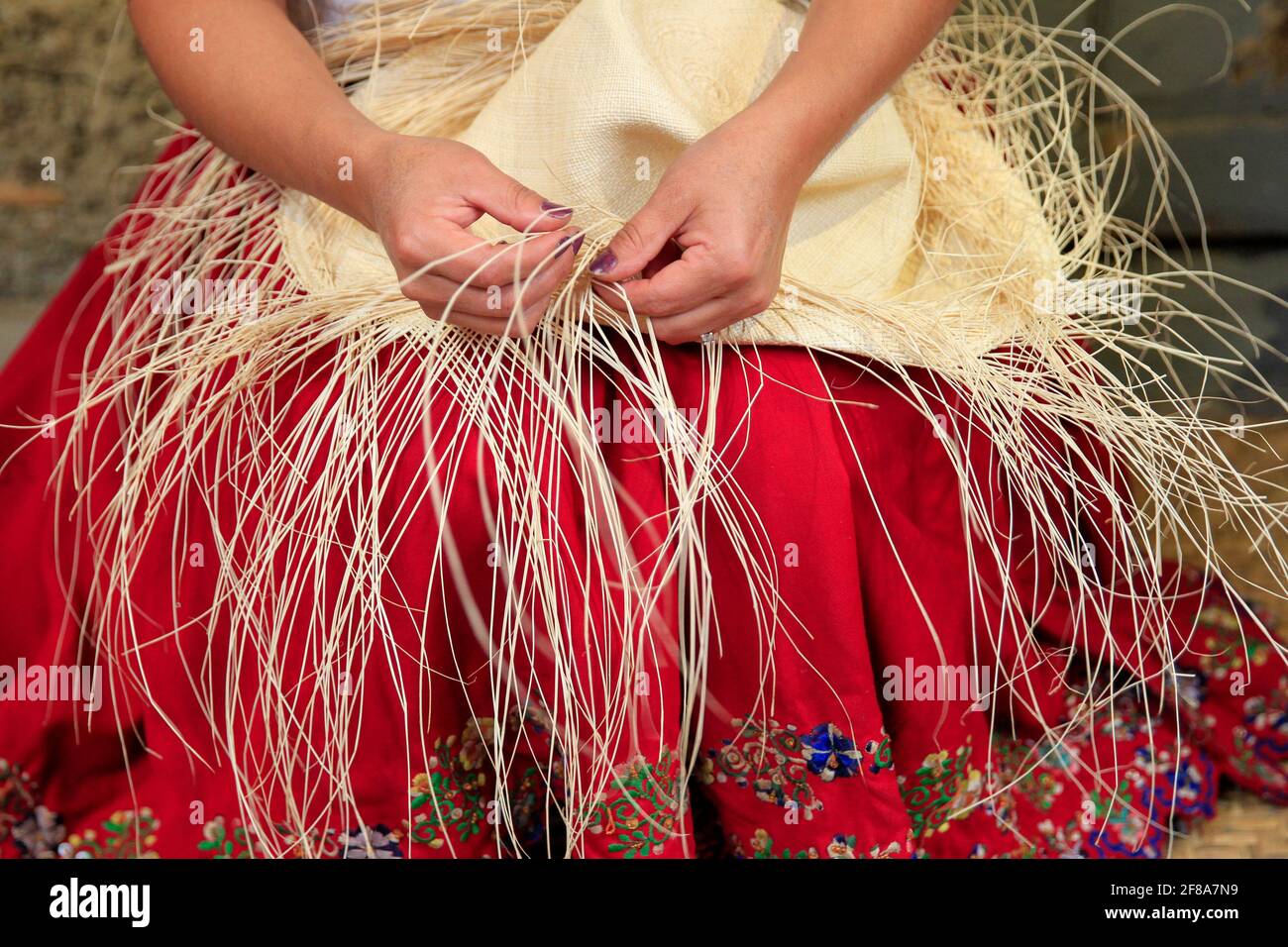 Woman's Hands Weaving a Straw Panama Hat in Cuenca, Ecuador, South America Stock Photo