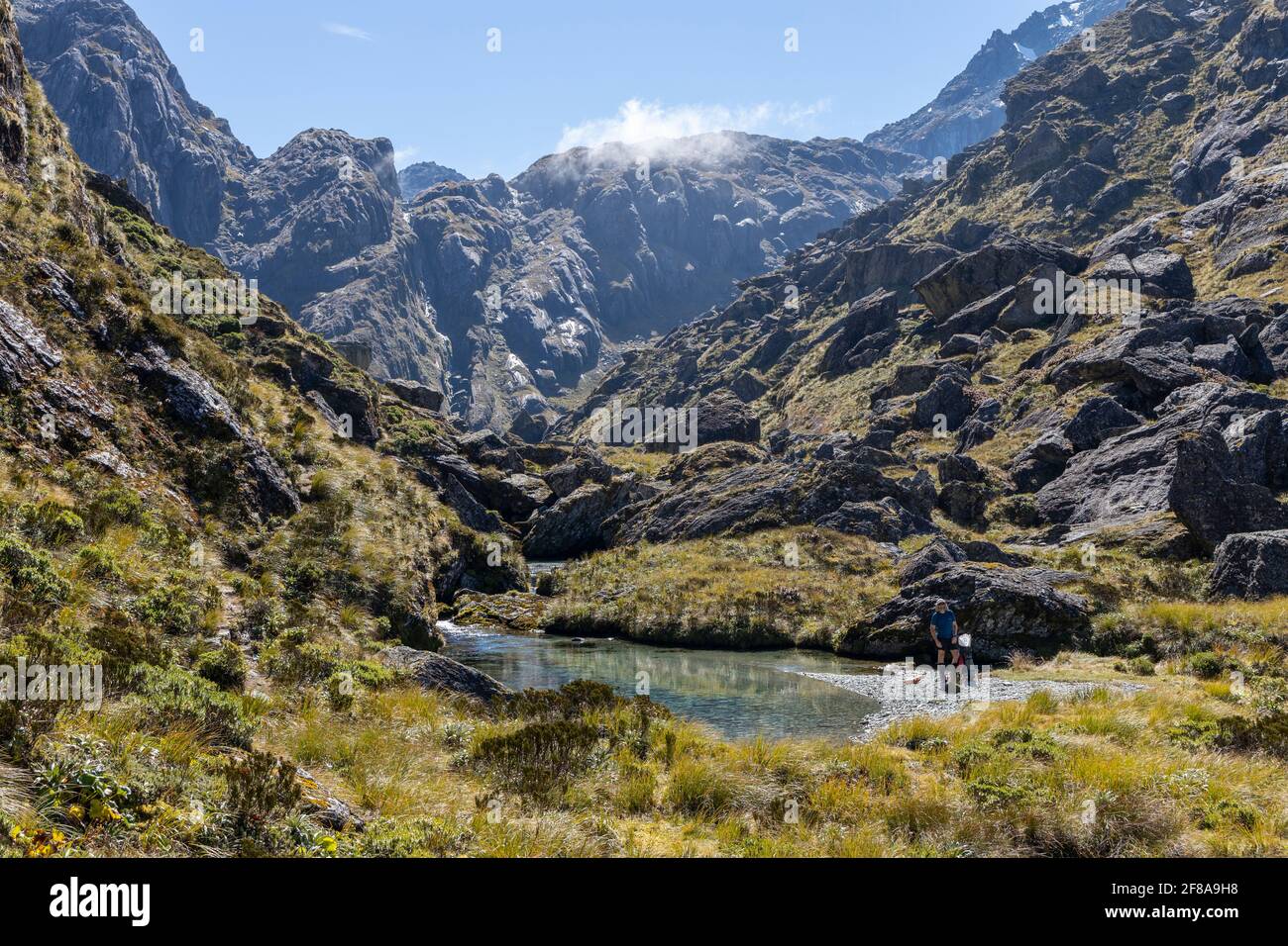 Valley of the Trolls, Routeburn, New Zealand Stock Photo