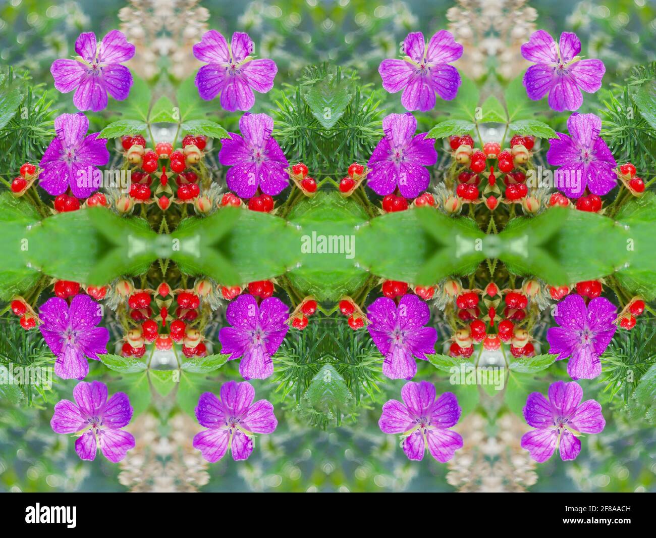 Colorful, seamless defocused background with forest flowers and berries. Art design, the concept of blooming summer Stock Photo
