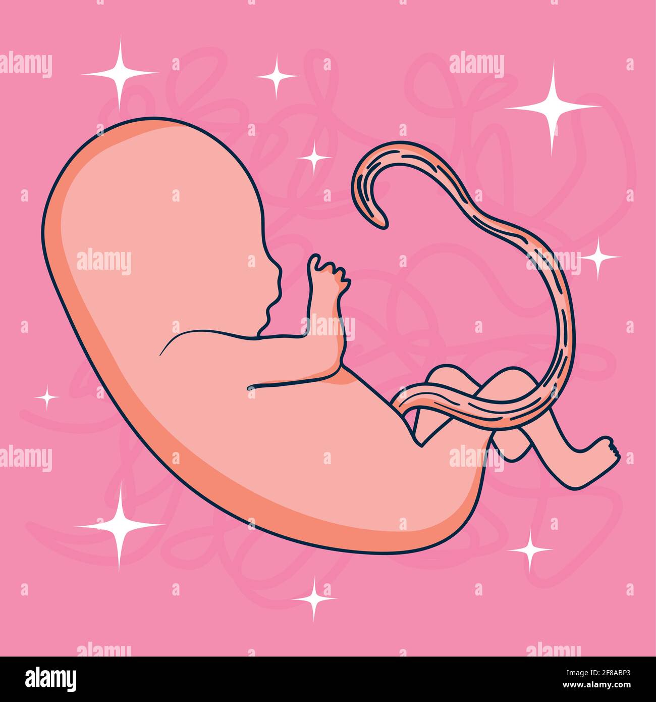 umbilical cord cartoon