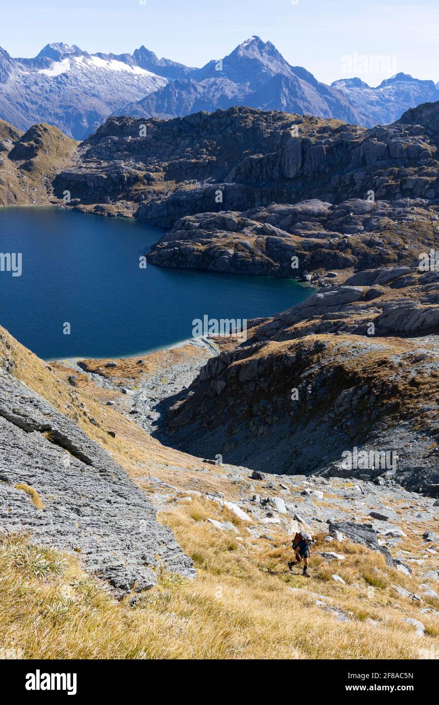 Lake Wilson and hiker, NZ Southern Alps Stock Photo