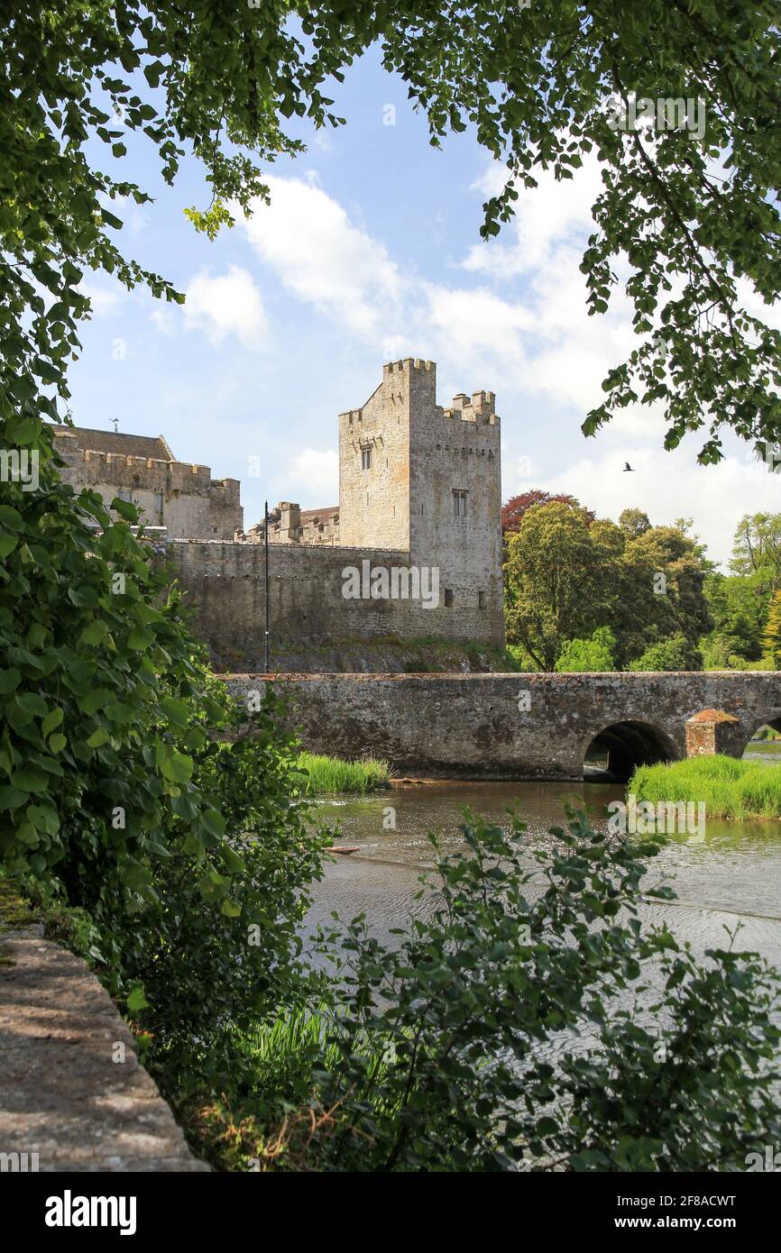 Cahir Castle and Bridge Against Blue Sky Framed by Green Foliage in Cork, Ireland Stock Photo
