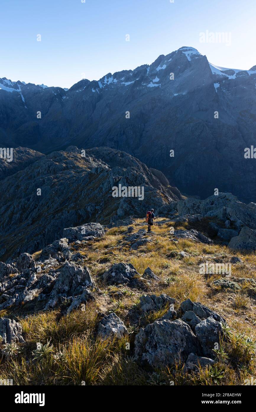 Hiker in Southern Alps, New Zealand Stock Photo