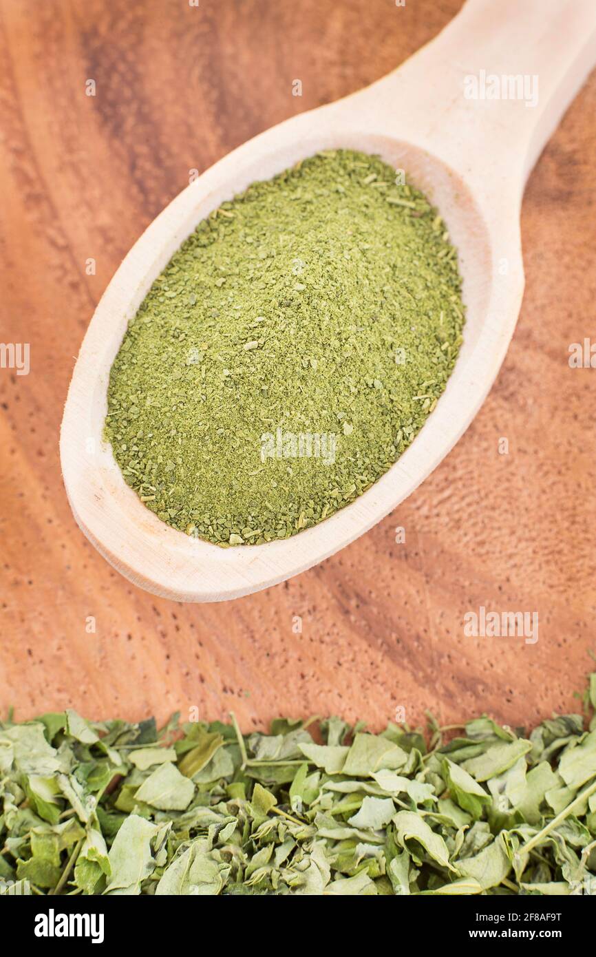 Leaves and moringa powder - Moringa oleifera Stock Photo - Alamy