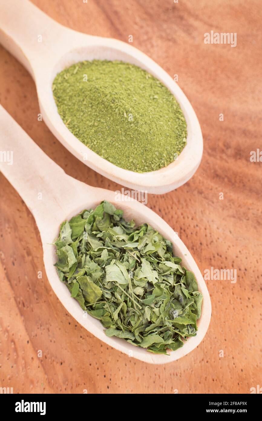 Leaves and moringa powder - Moringa oleifera Stock Photo - Alamy