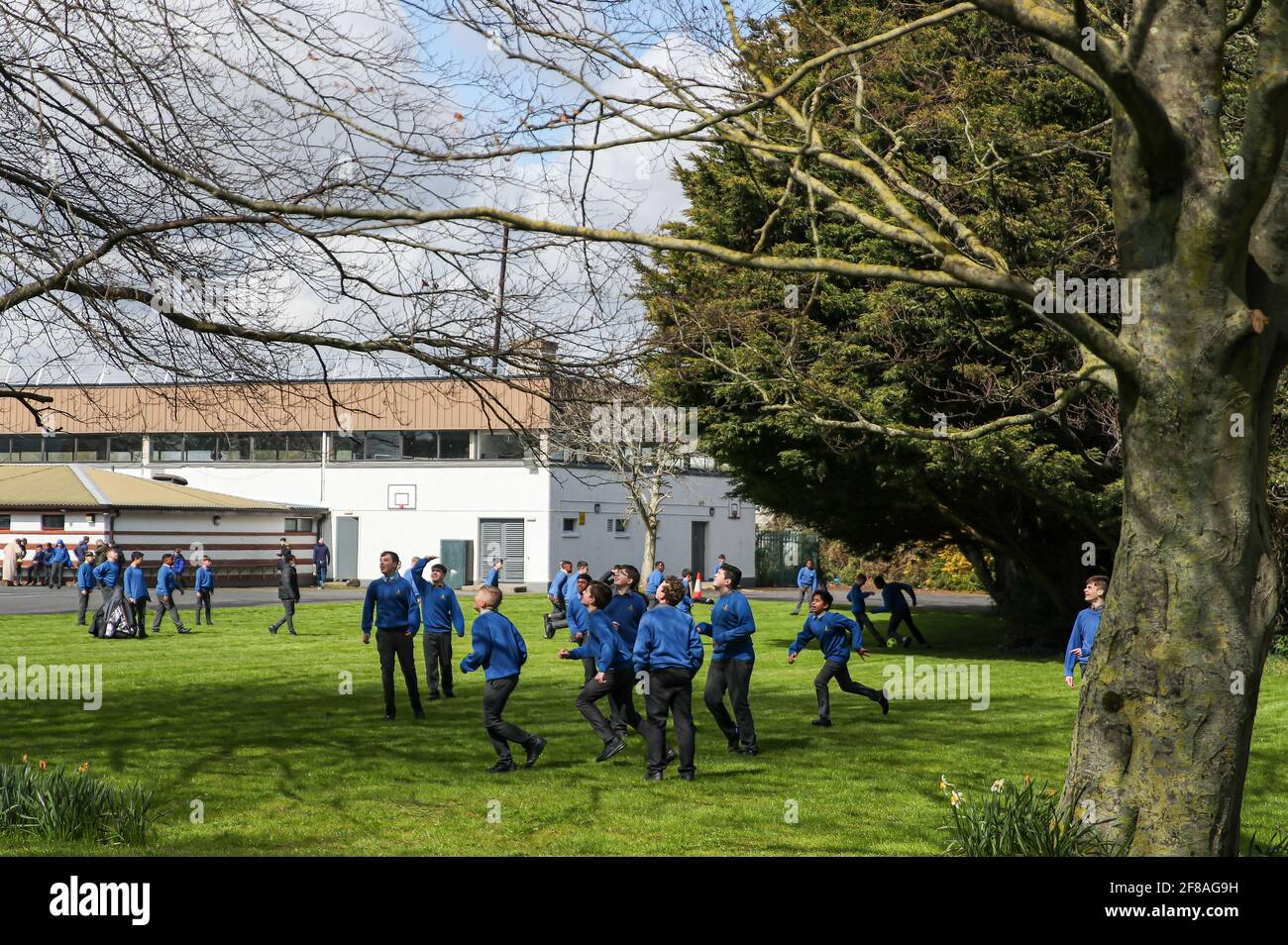 Dublin. 13th Apr, 2021. Students play in a reopened school in Dublin, Ireland, April 12, 2021. Ireland on Monday started to ease some of its COVID-19 restrictions as scheduled. People are allowed to travel freely within the county where they live or within 20 kilometers from their home, with outdoor gatherings permitted for no more than two households, in-classroom education for all primary and secondary school students resumed, and all residential construction projects reopened. Credit: Xinhua/Alamy Live News Stock Photo
