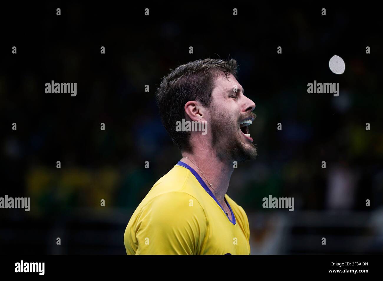 The world champion brazilian volleyball hi-res stock photography and ...