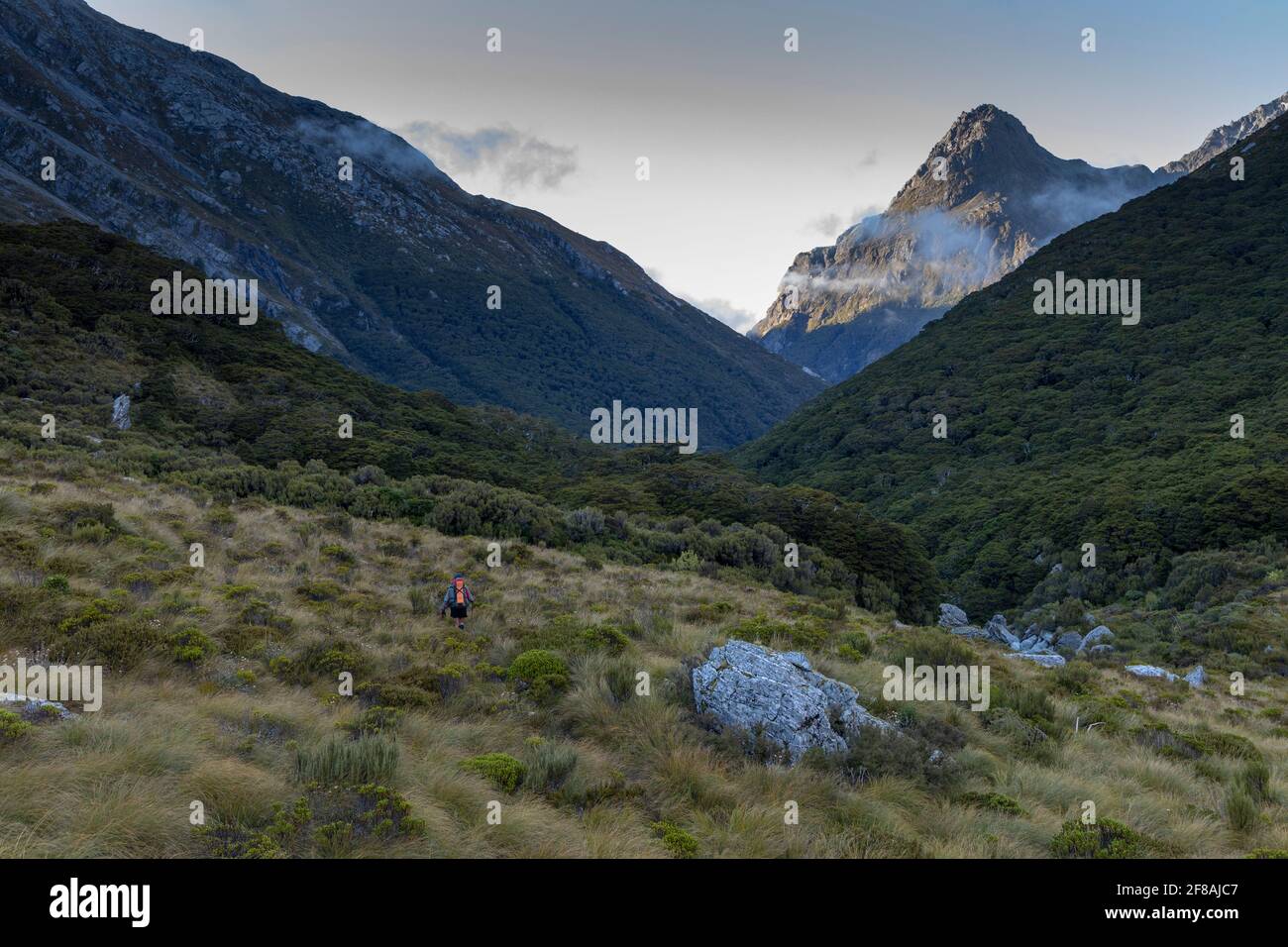 Rock Burn Valley, New Zealand Stock Photo