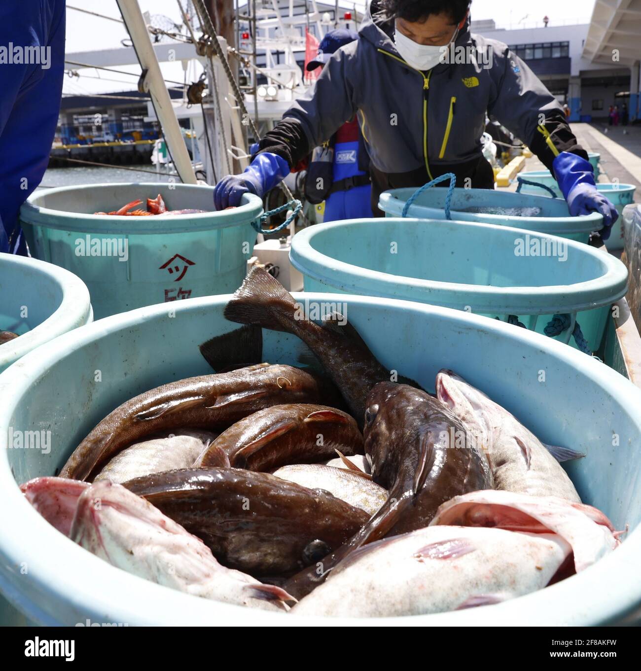 Fukushima Japan April 13 21 A Fisherman Lands Fish At A Port In Soma In Fukushima Prefecture Northeastern Japan On April 12 21 The Japanese Government Decided On April 13 To Release