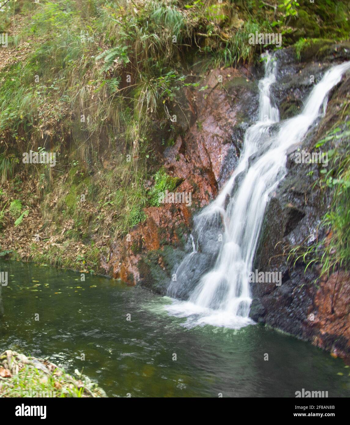 stream water creates a small waterfall in the woods Stock Photo - Alamy