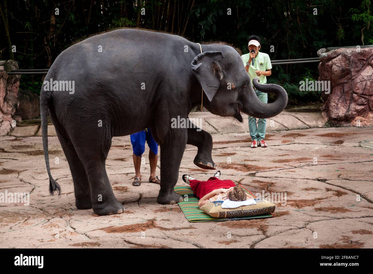 An elephant show at the famous Safari World zoo in Bangkok where