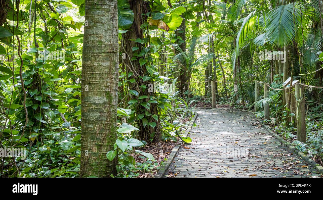 Empty stone path in hi-res stock photography and images - Alamy
