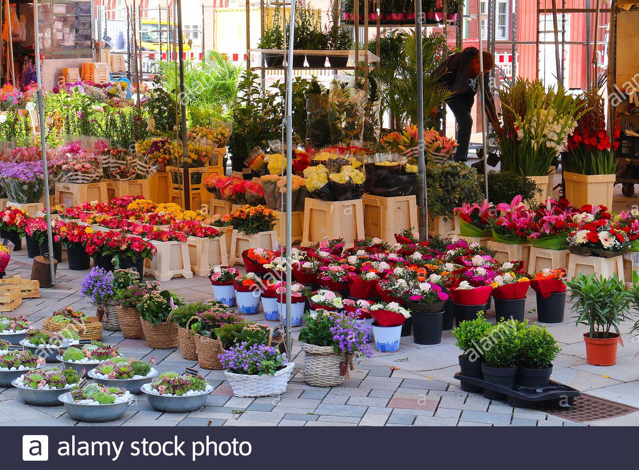 Florist Germany High Resolution Stock Photography and Images Alamy