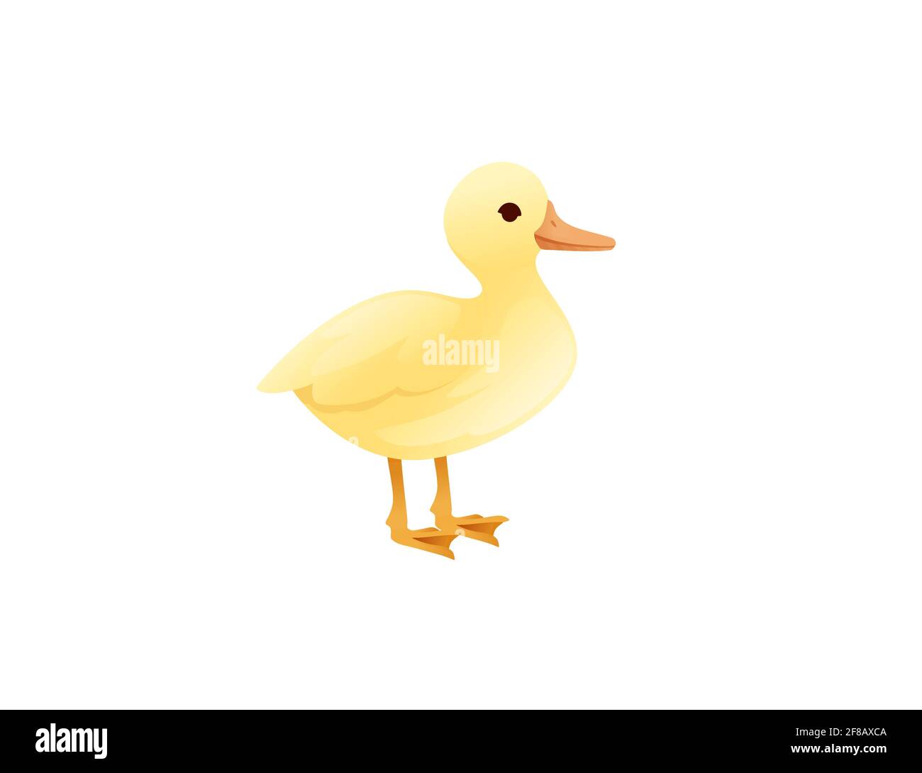 Cute baby duck yellow little chick cartoon animal design vector  illustration on white background Stock Vector Image & Art - Alamy