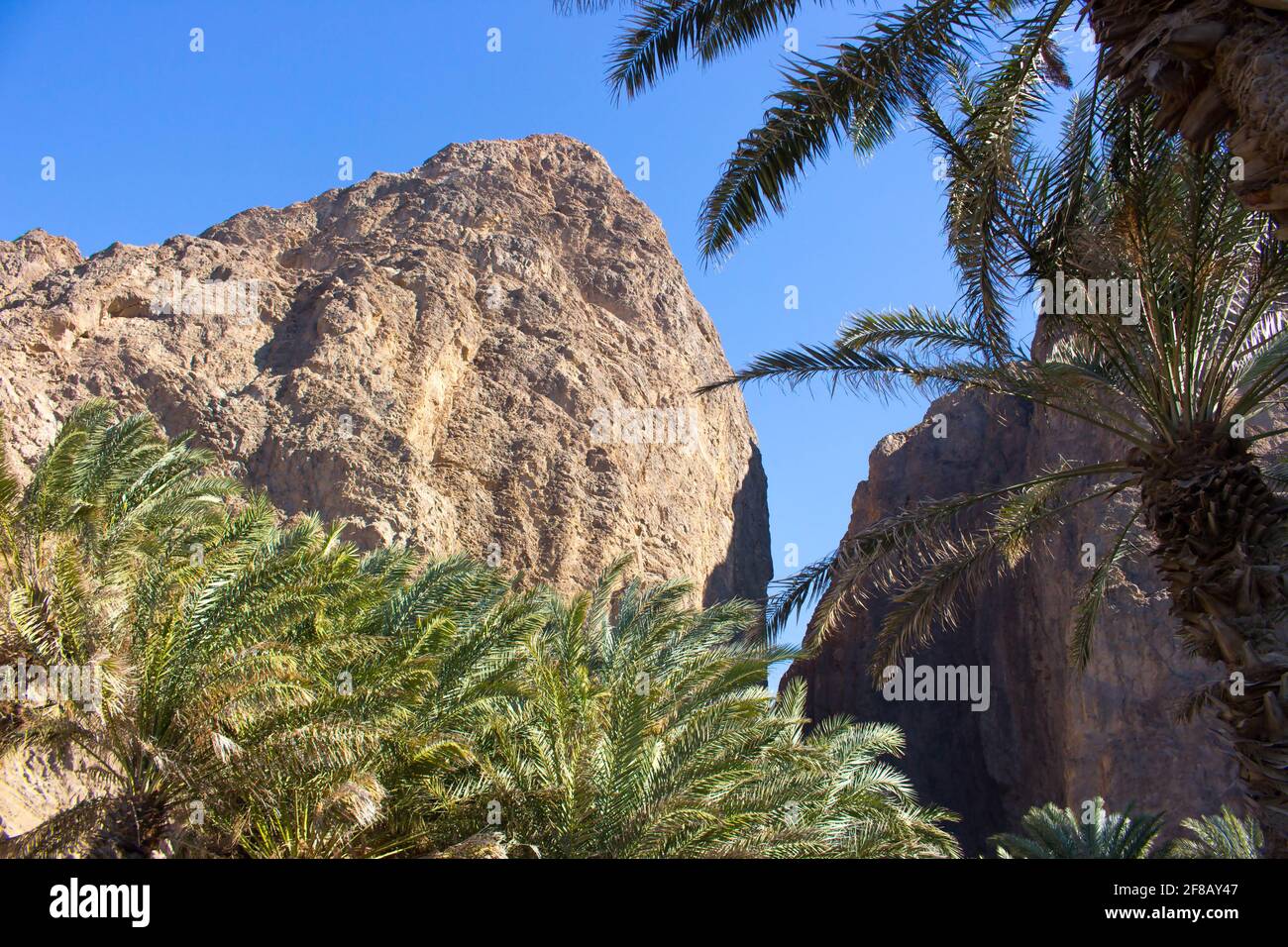 Wadi Tayyib Al Ism Magna, Saudi Arabia Stock Photo - Alamy