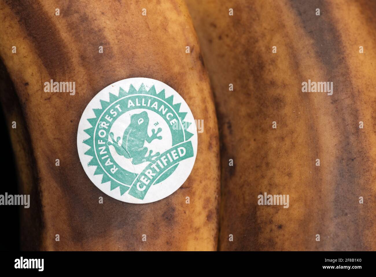 Rainforest Alliance Certified label sticker on overripe bananas. Stock Photo