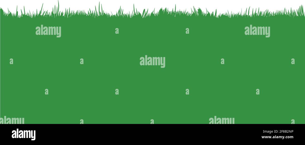 Grass vector isolated on white background Stock Vector