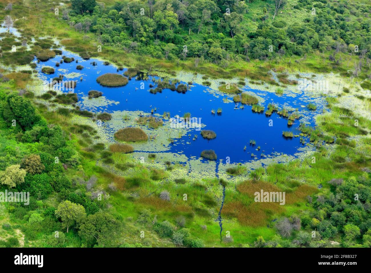 Aerial landscape in Okavango delta, Botswana. Lakes and rivers, view from airplane. Green