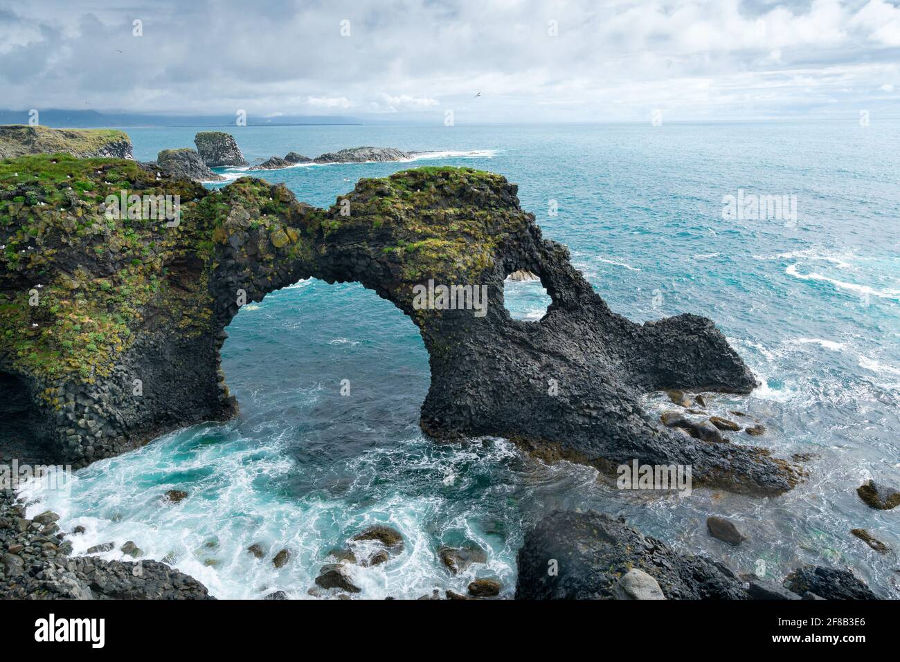 Rocks of Arnarstapi with nesting birds, Iceland, Snaefellsness. Black ...