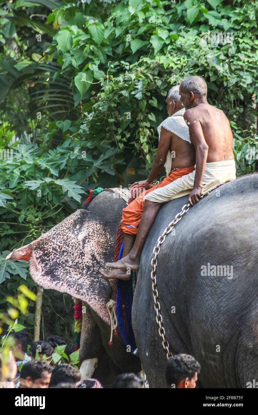 festival elaphant of kerala Stock Photo