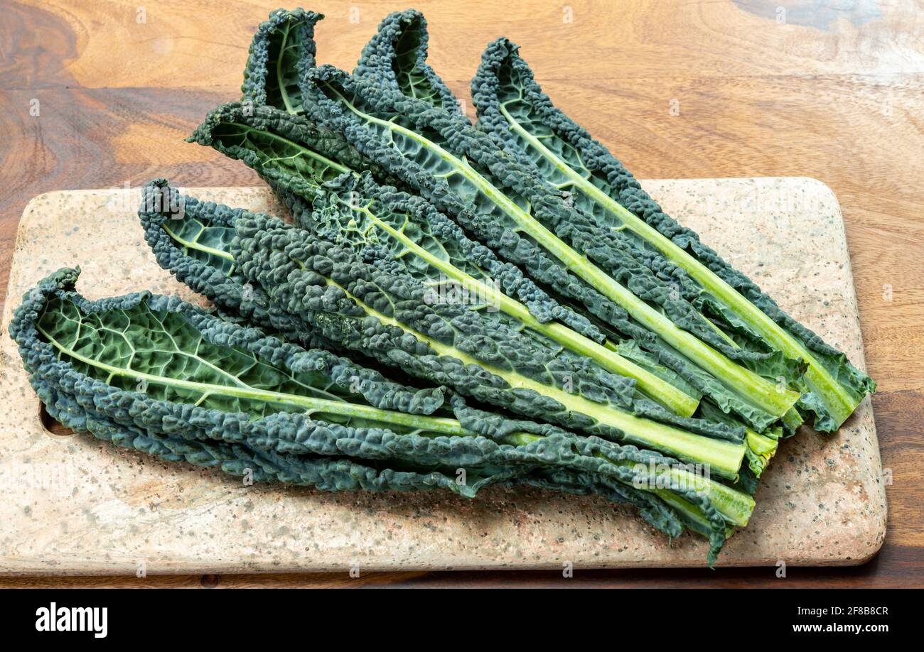 Vegetarian Cooking With Black Flat Leaves Of Cavolo Nero Tuscan Cabbage vegetarian-cooking-with-black-flat-leaves-of-cavolo-nero-tuscan-cabbage