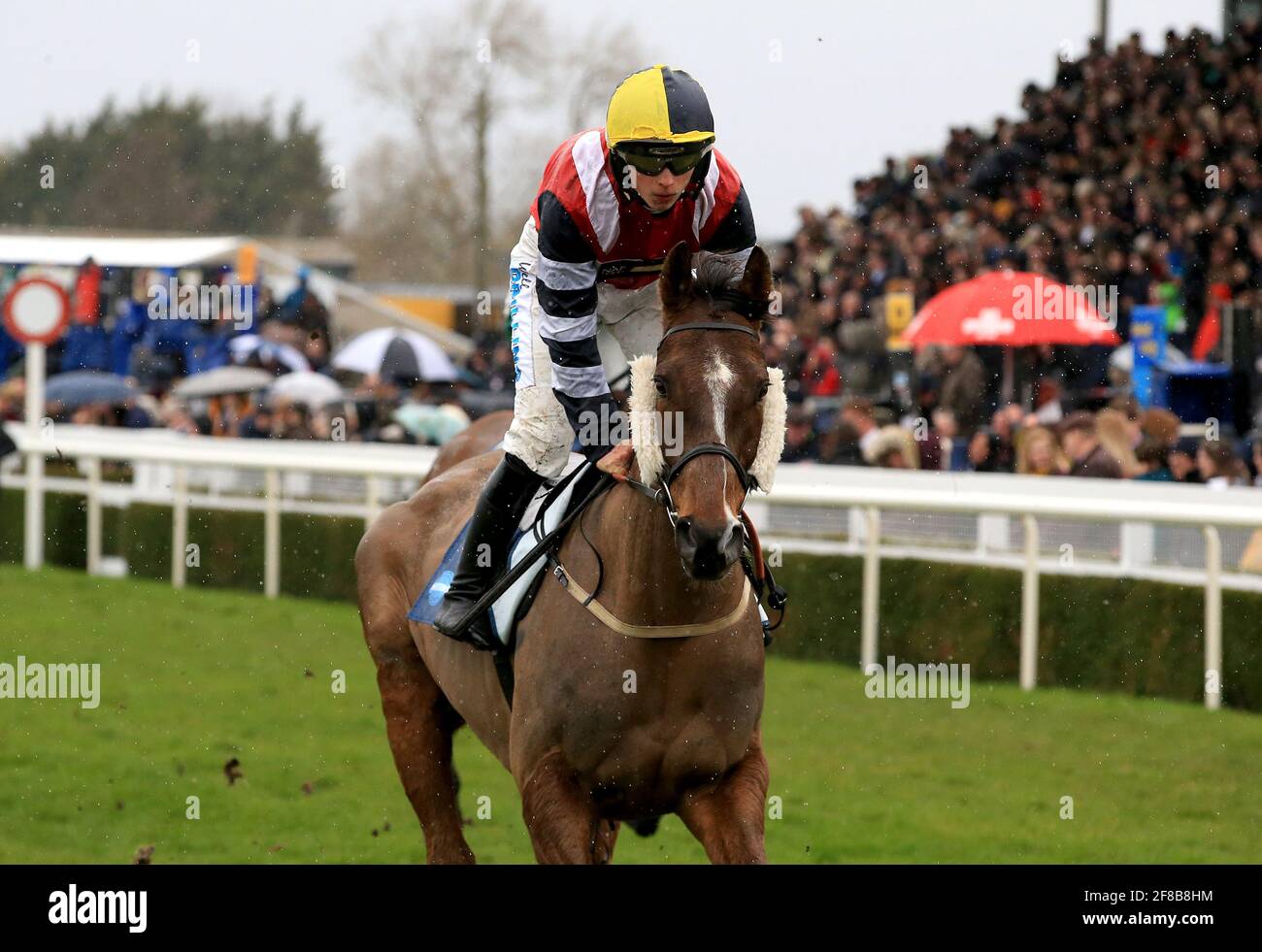 Potters corner horse hires stock photography and images Alamy