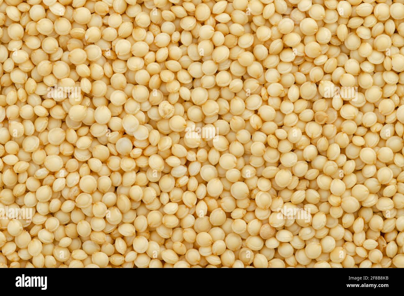 Amaranth grain, close-up. Amaranthus seeds, a gluten free pseudocereal similar to quinoa, staple food and a source of protein of the Aztecs. Stock Photo