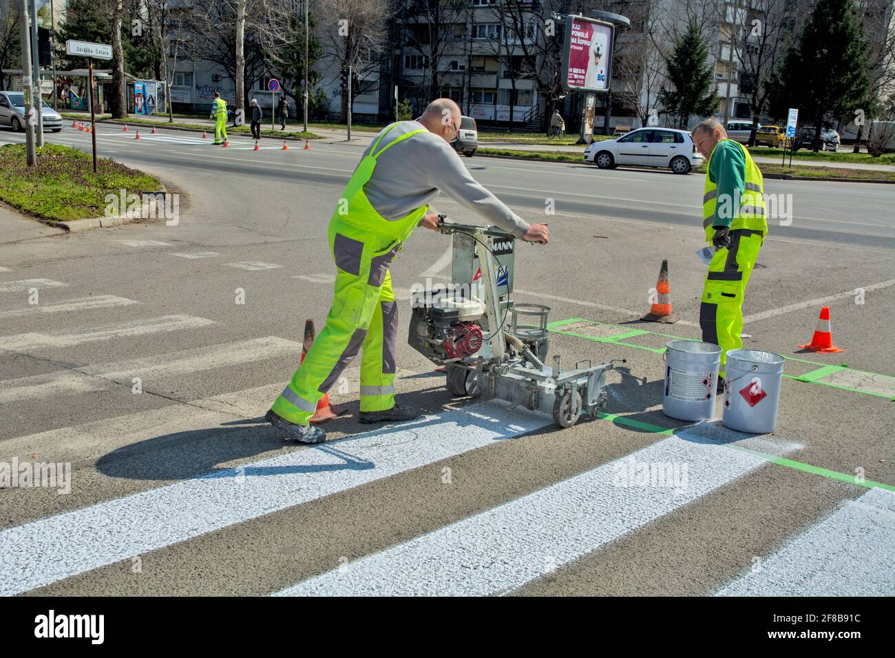 Zrenjanin, Serbia March 26, 2021. Workers of a company that paints pedestrian crossings, popularly called 'zebras', mark and paint on asphalt. Stock Photo