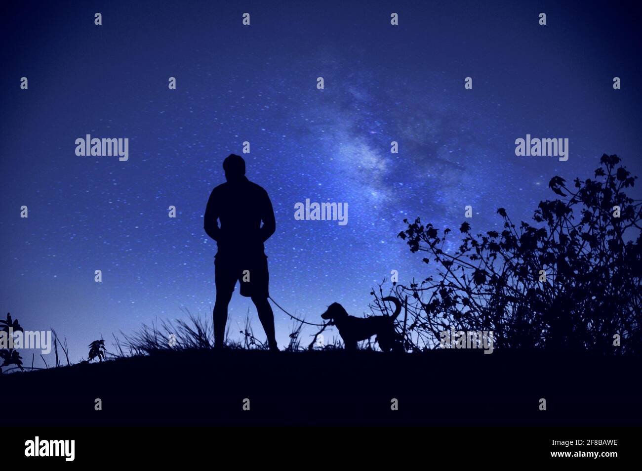 Night images hires stock photography and images Alamy