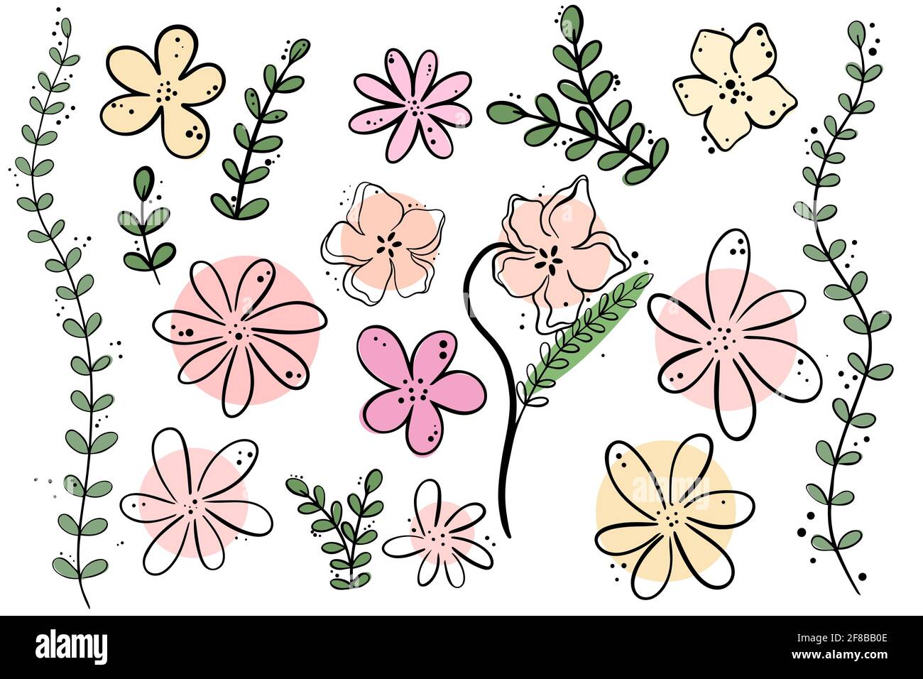 Set of floral elements. Collection of flowers, branches and plants for frame and design. Vector. Individual elements of plants. Stock Vector