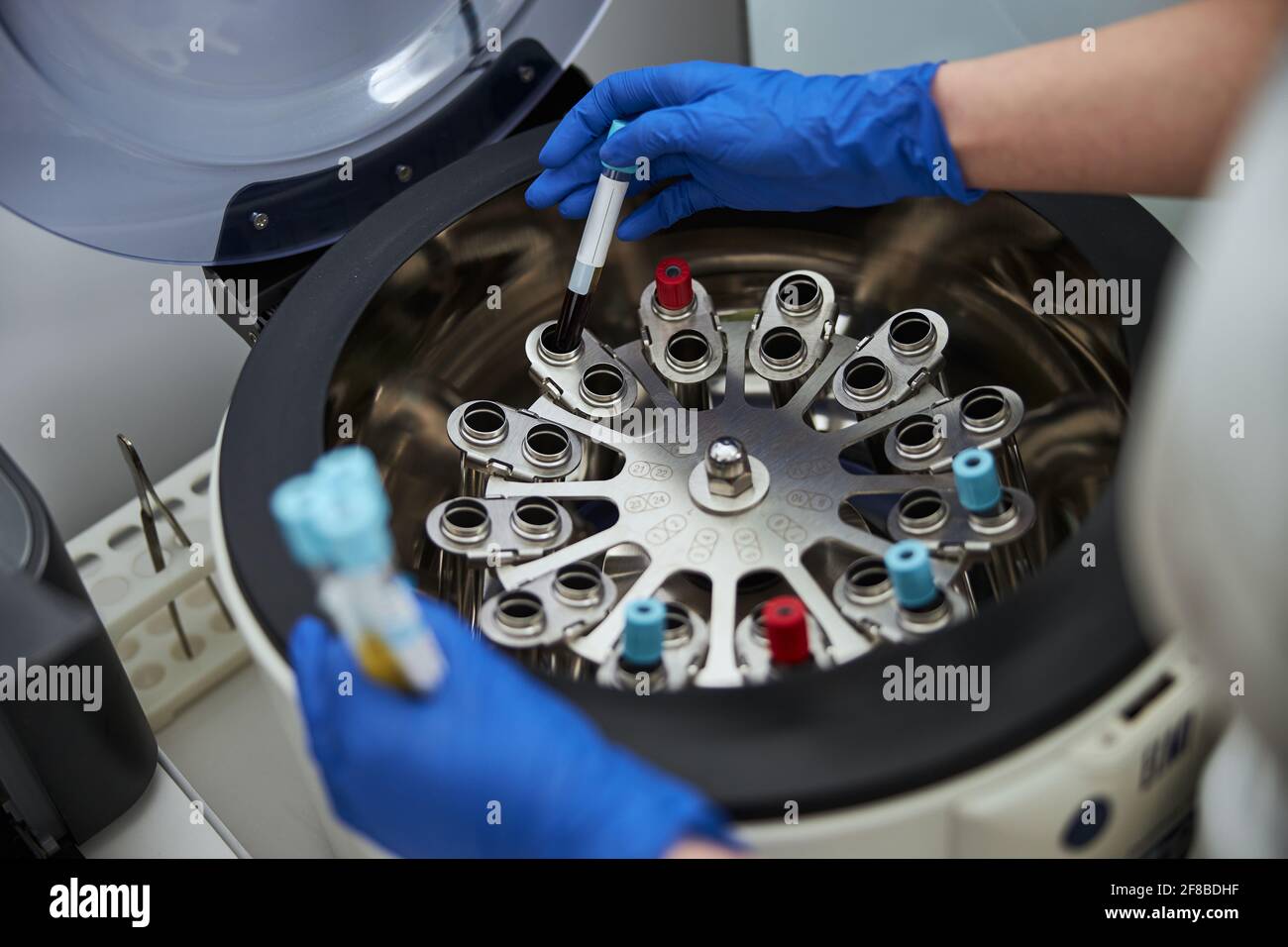 Lab technician using a centrifuge for a biochemical analysis Stock
