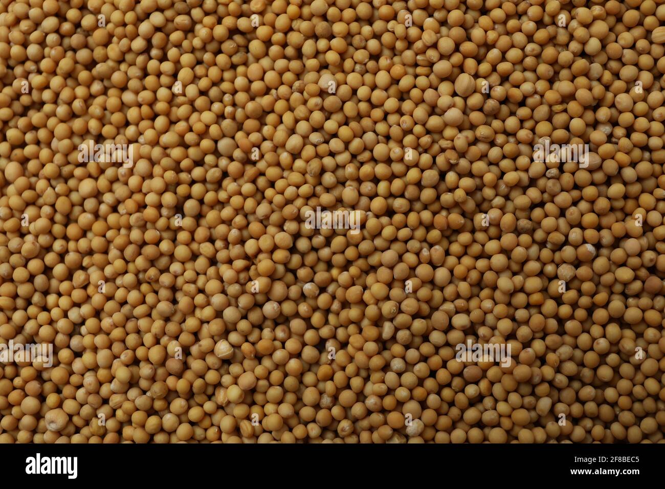 Whole grain mustard seed hires stock photography and images Alamy