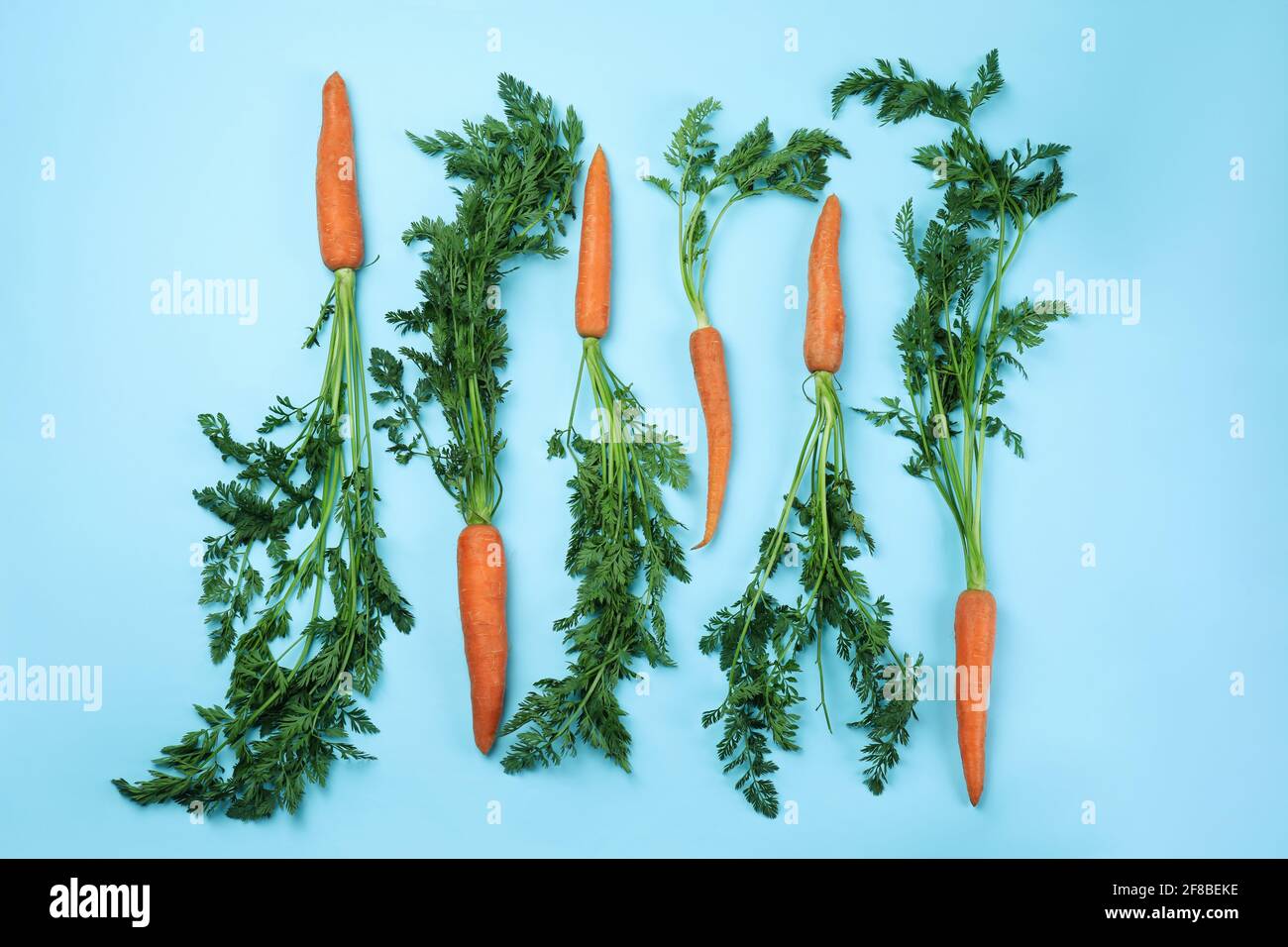 Fresh carrot with leaves on blue background Stock Photo