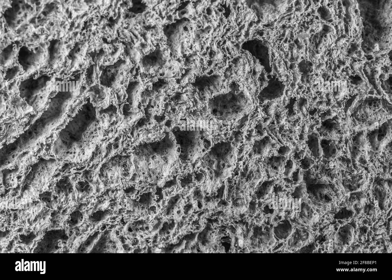 Macro Shot Of A Gray Sponge Wallpaper Of Sponge Texture Stock Photo Alamy