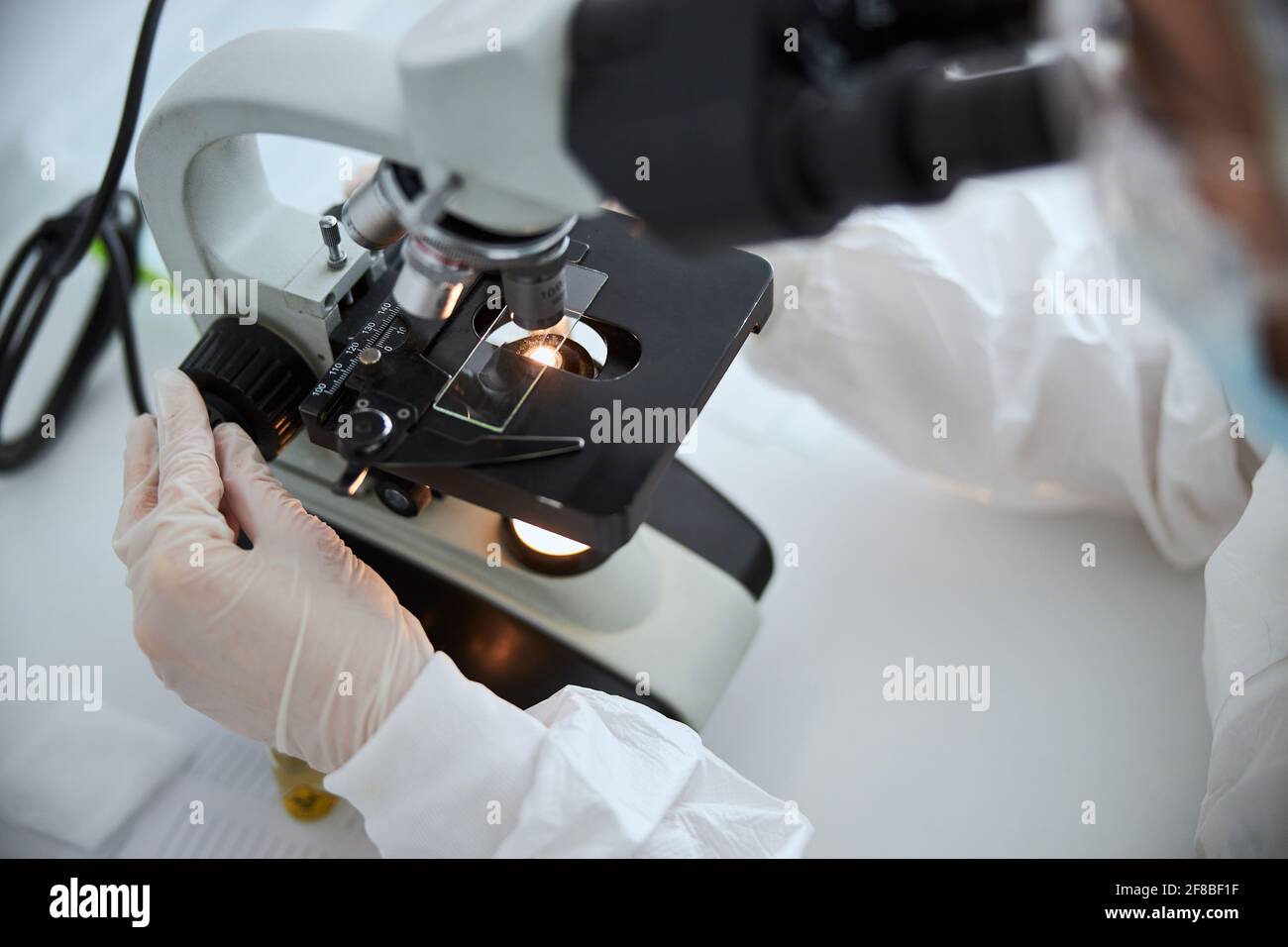 Microbiologist observing a microscopic specimen under the microscope