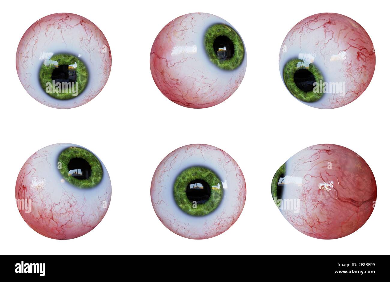 collection of human eyeballs with green iris isolated on white ground Stock Photo