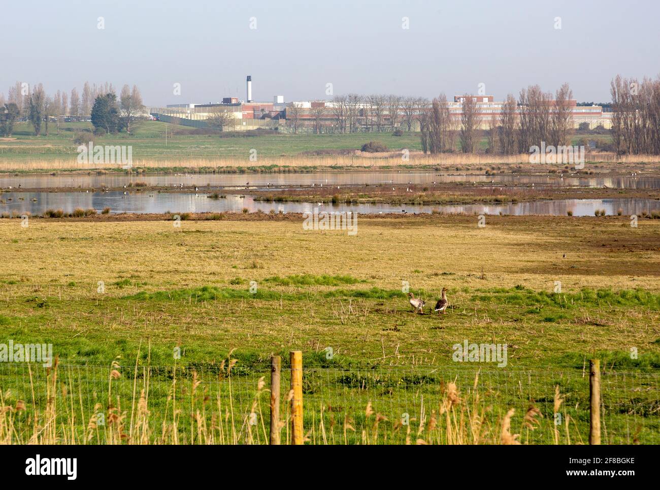 HMP Warren Hill prison from Hollesley Marshes RSPB site, Suffolk