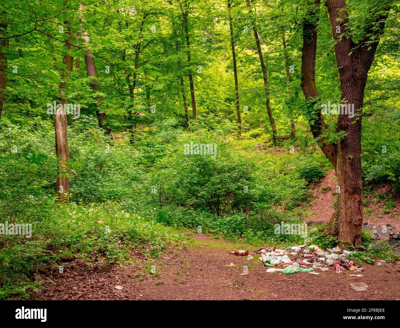 Illegal garbage dump in forest Stock Photo - Alamy