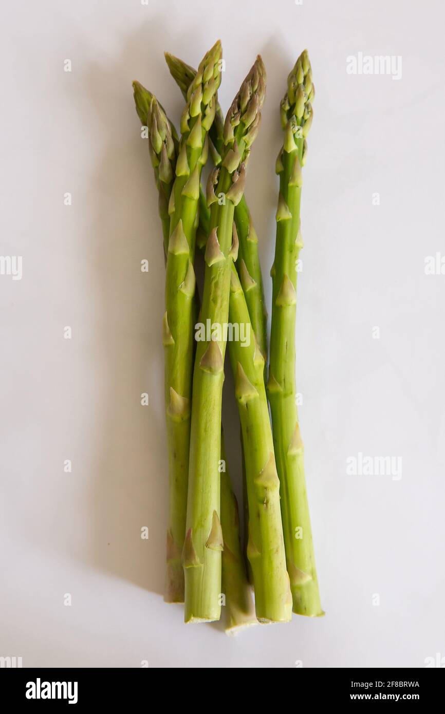asparagus in a bundle Stock Photo Alamy
