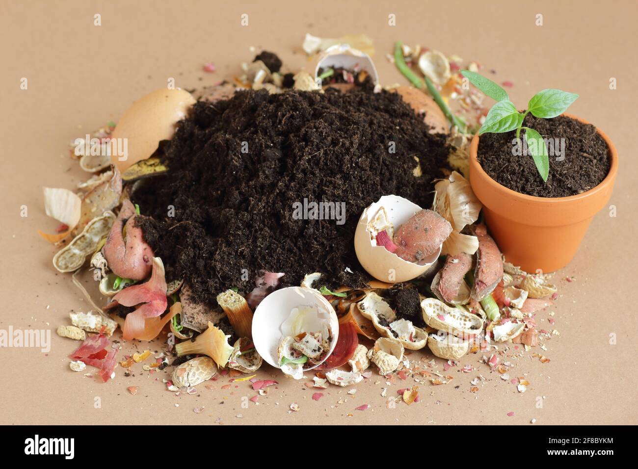 Organic waste, heap of biodegradable vegetable compost with decomposed  organic matter on top and seedling in terracota flower pot, closeup, zero  waste Stock Photo - Alamy