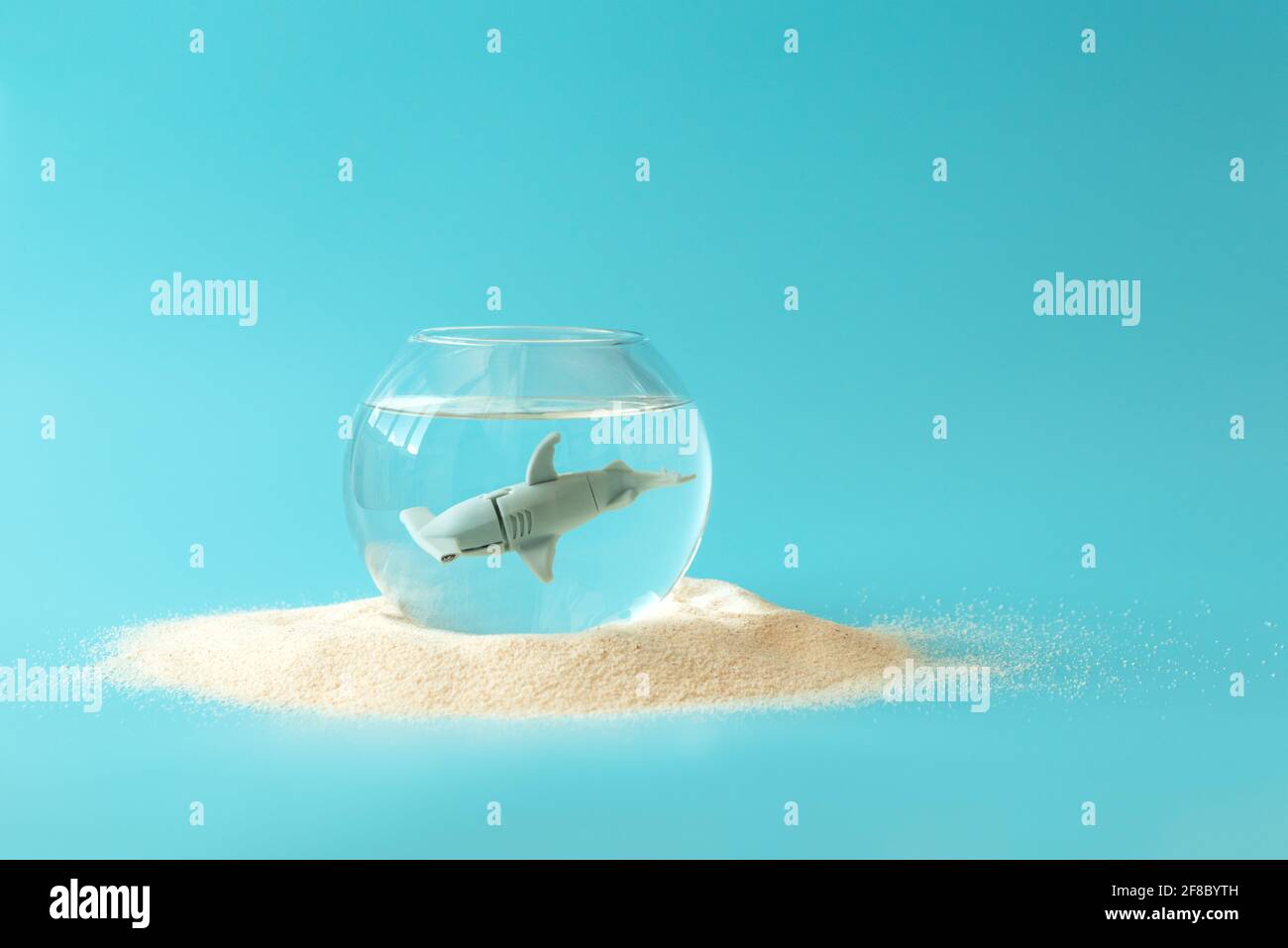 Aquarium with shark toy on blue background.  Creative summer vacation on dangerous concept Stock Photo