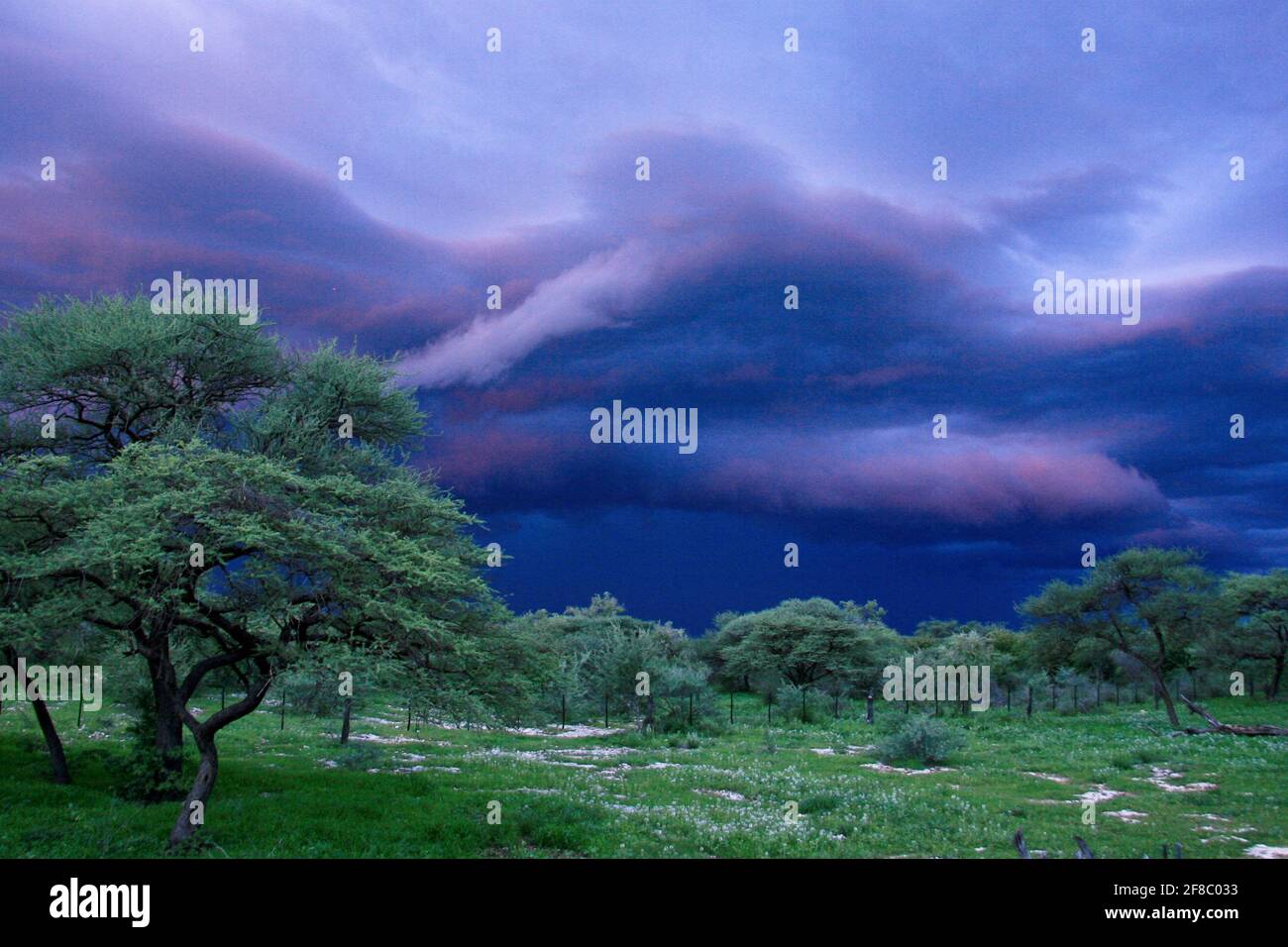 Landscape of powerful dark storm front approaching in desert Outjo, Namibia. Stock Photo