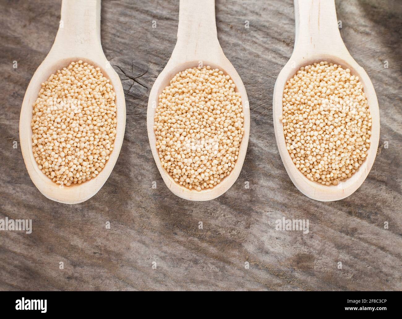 Euroseedsua Organic Amaranth Seeds – 10,000 Seeds – Tall Mix Ukrainian – SW829