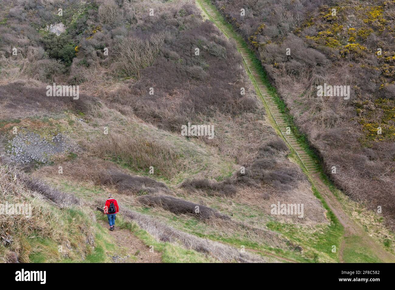 Person walks down path through hi-res stock photography and images - Alamy