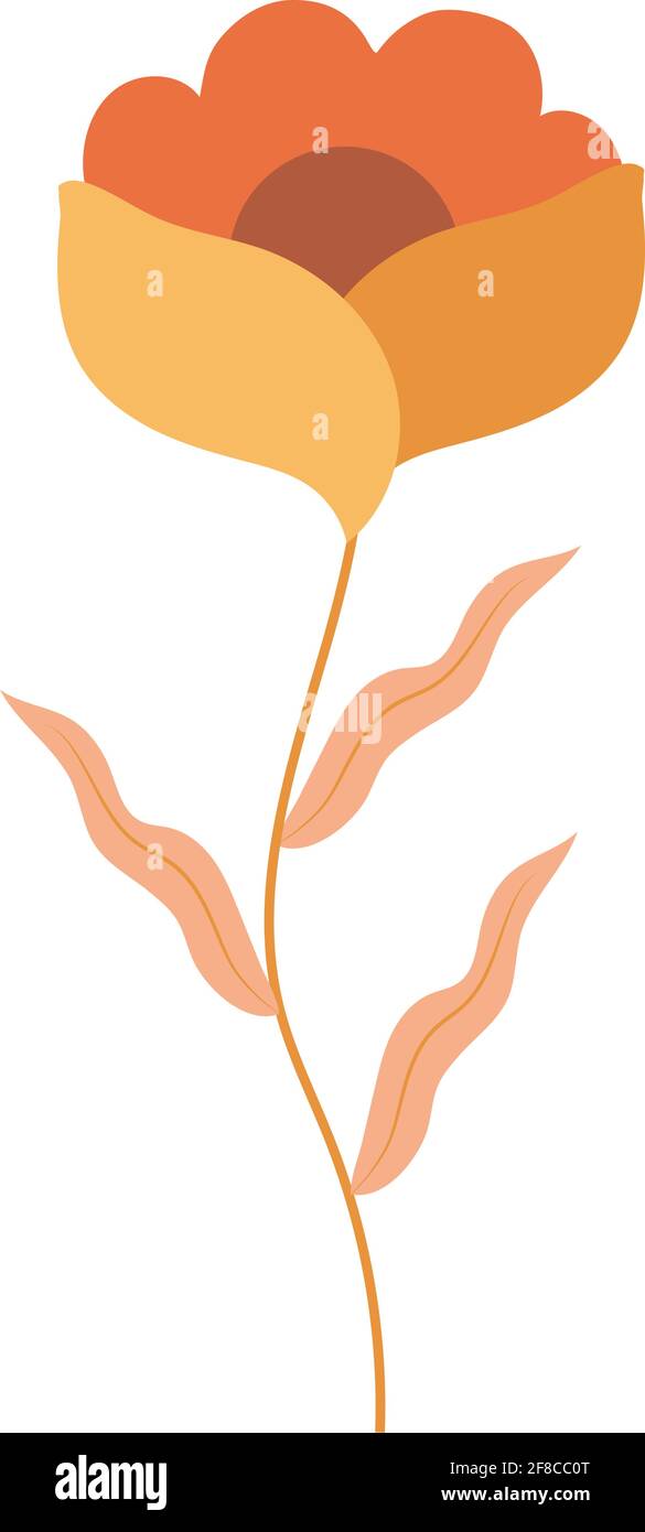 orange flower illustration Stock Vector Image & Art - Alamy