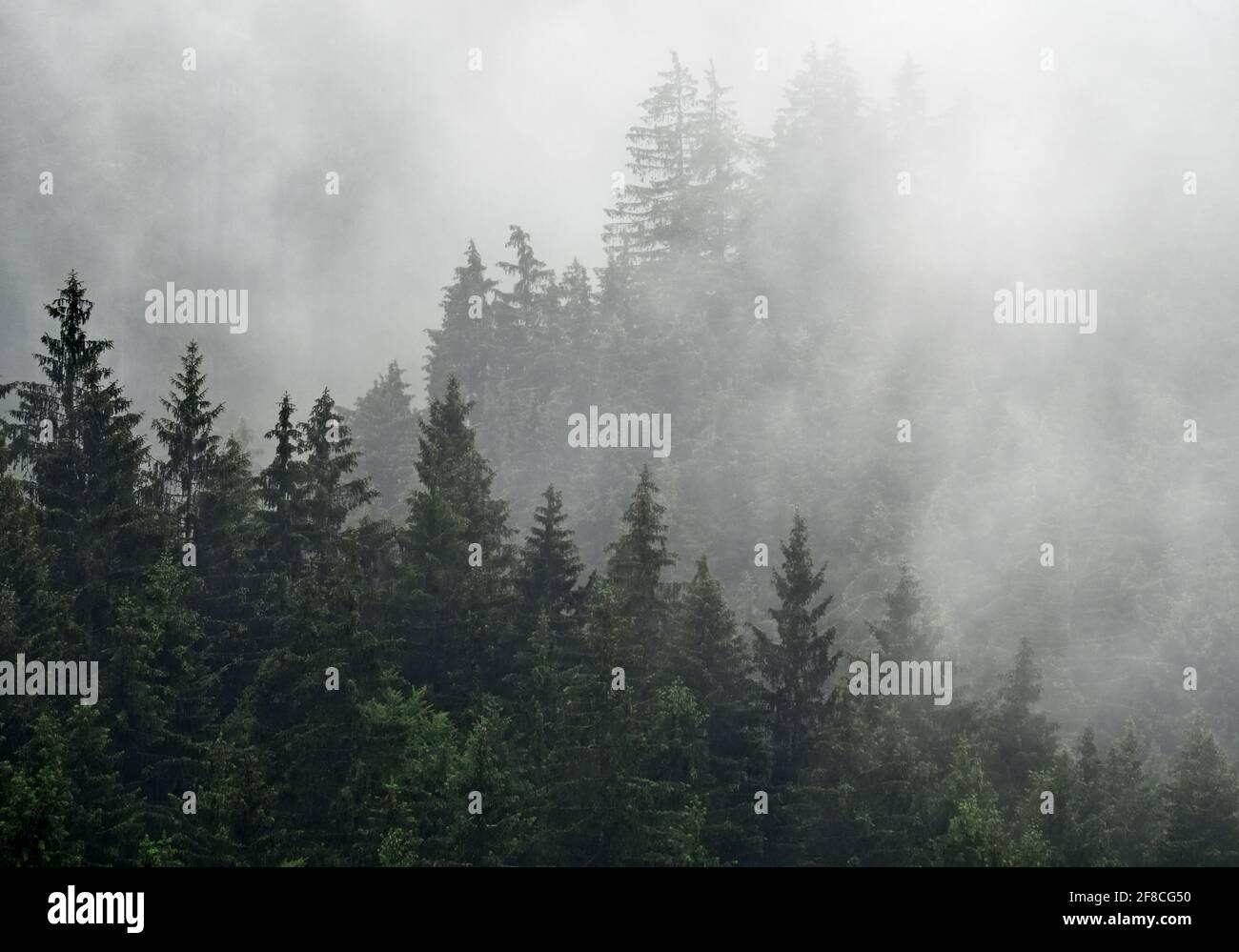 Foggy autumn morning in the mountain, Beskydy, Czech Republic Stock Photo