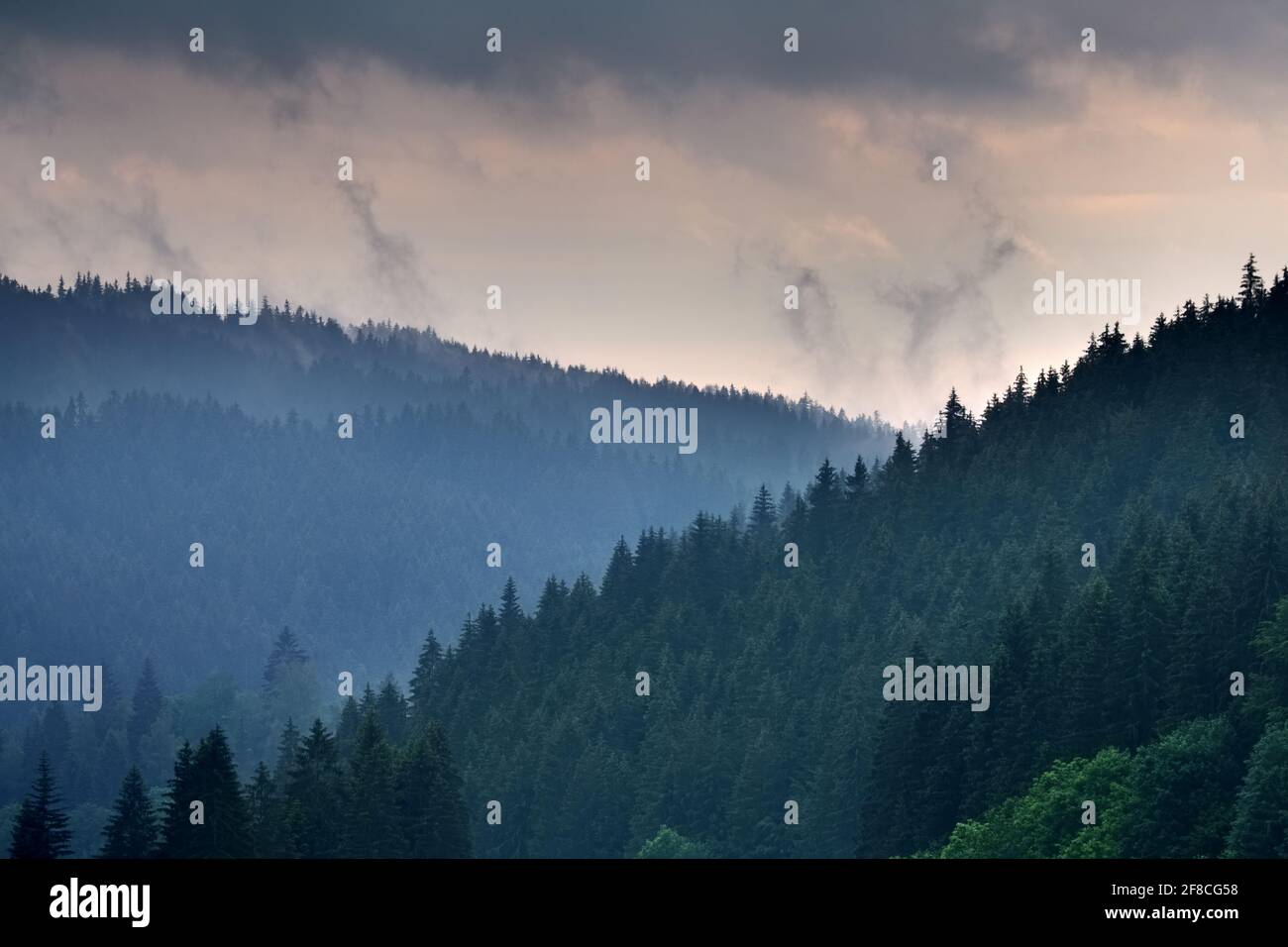 Foggy autumn morning in the mountain, Beskydy, Czech Republic Stock Photo