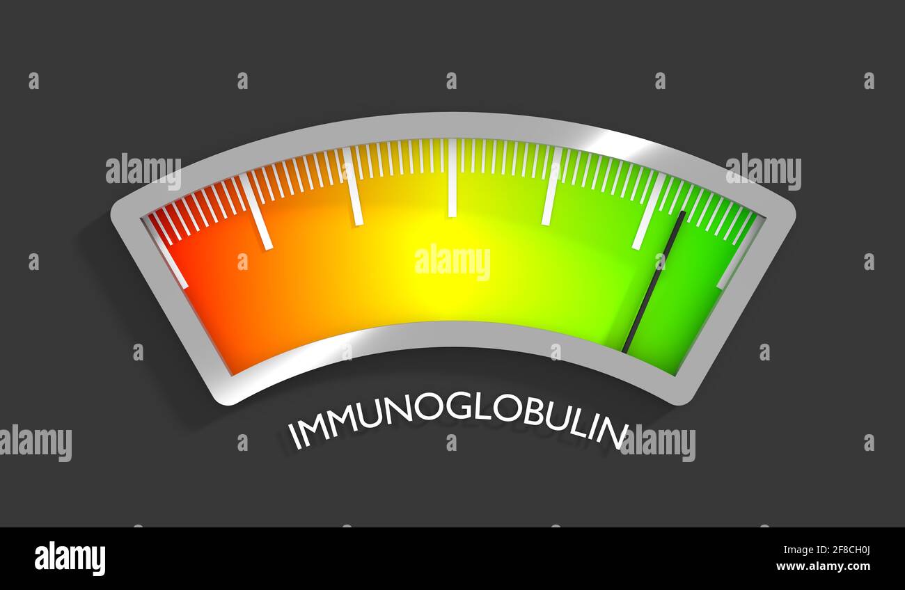Immunoglobulin level scale with arrow. The measuring device icon. Sign tachometer, speedometer, indicators. Infographic gauge element. 3D rendering Stock Photo