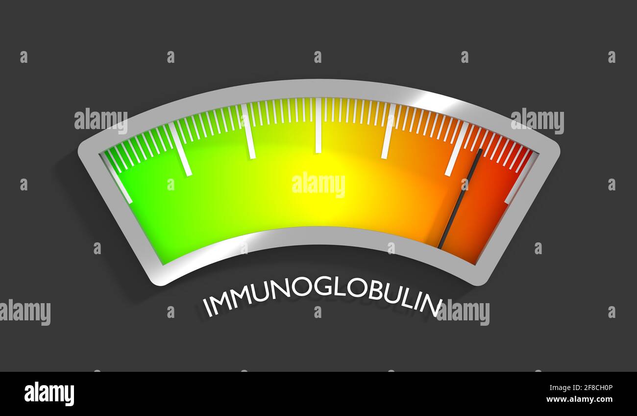 Immunoglobulin level scale with arrow. The measuring device icon. Sign ...